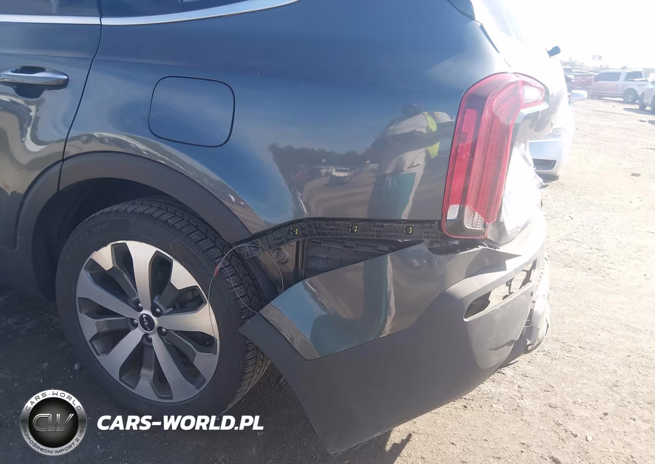 2022 Kia Telluride S VIN:5XYP6DHC6NG245647 - 6