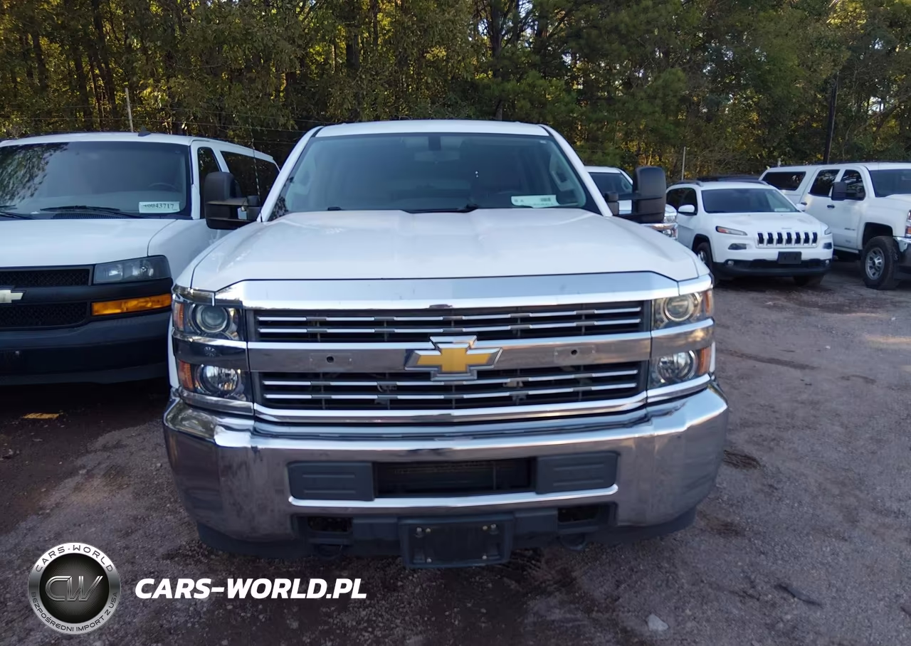 2018 Chevrolet Silverado 3500Hd Wt VIN:1GC4KYCG3JF274987 - 12