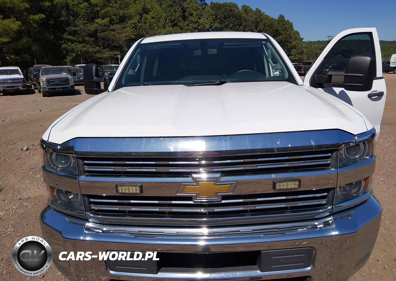 2018 Chevrolet Silverado 3500Hd Wt VIN:1GC4KYCG3JF274987 - 6