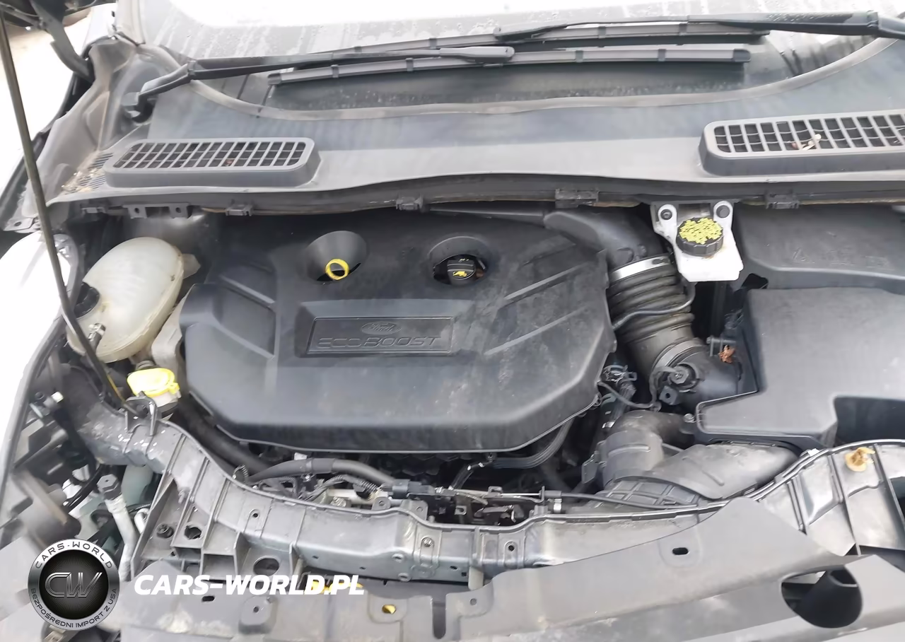 2019 Ford Escape Titanium VIN:1FMCU9J92KUB98607 - 10