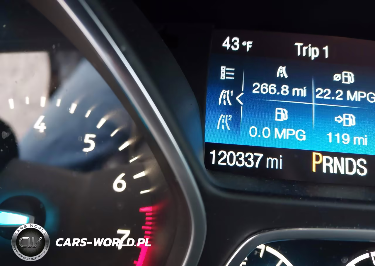 2019 Ford Escape Titanium VIN:1FMCU9J92KUB98607 - 15