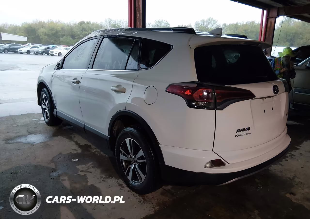 2017 Toyota Rav4 Xle VIN:JTMWFREV9HD094790 - 3