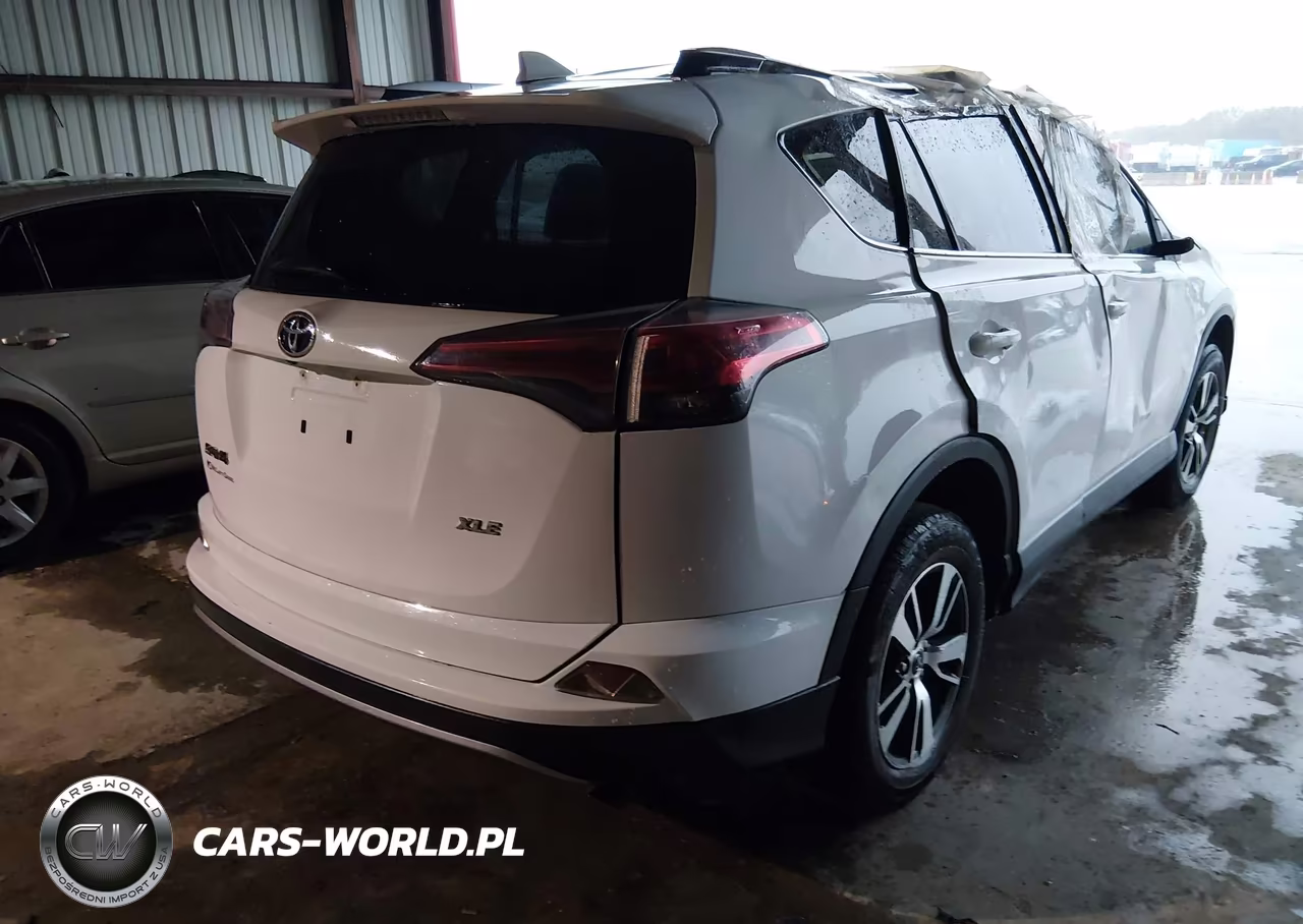 2017 Toyota Rav4 Xle VIN:JTMWFREV9HD094790 - 4