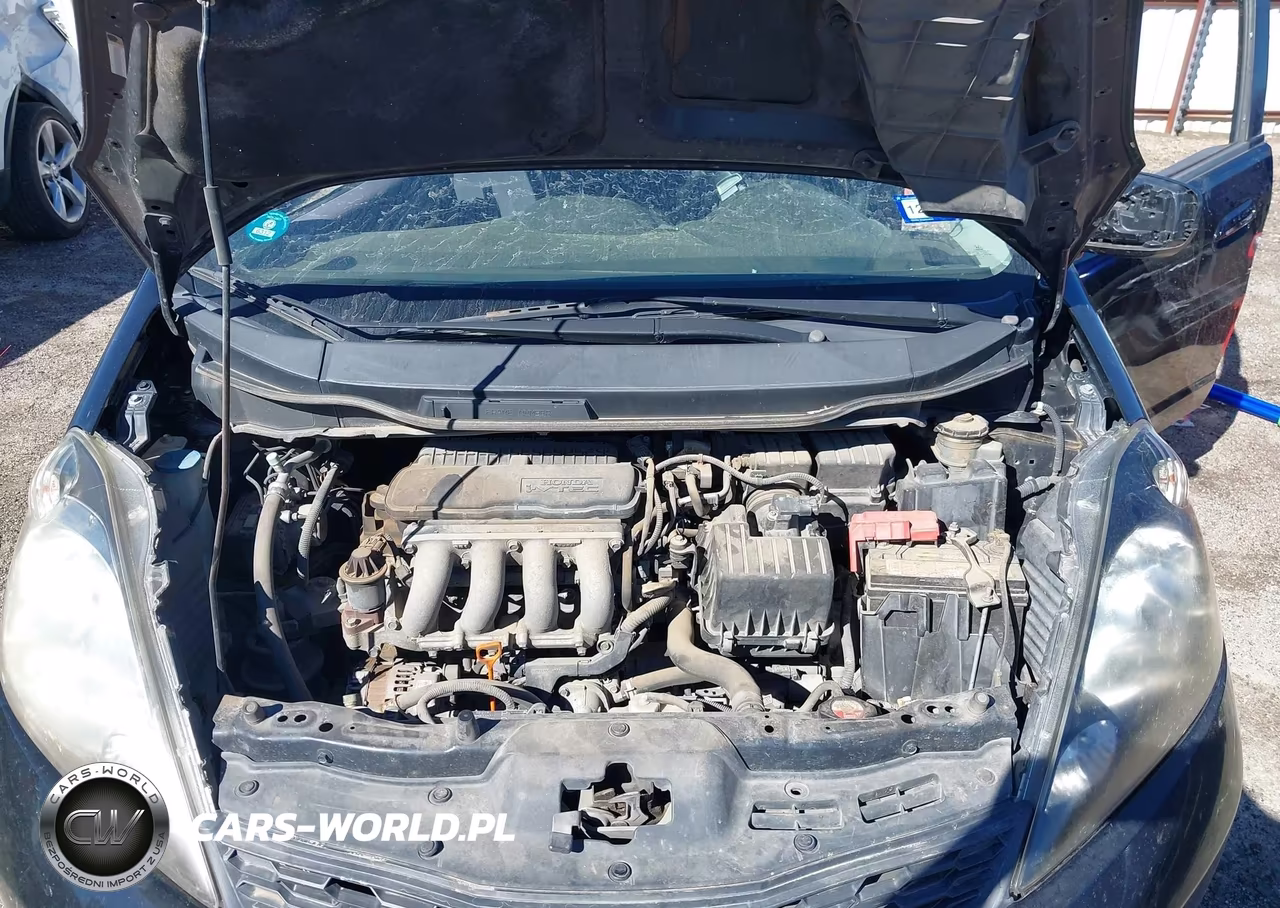 2010 Honda Fit Sport VIN:JHMGE8H49AC038797 - 10