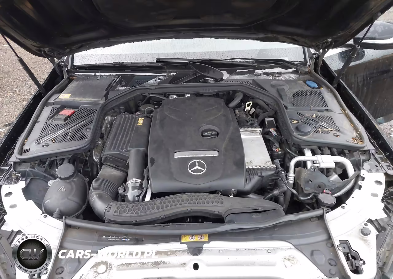 2015 Mercedes-Benz C-Class C 300 Luxury VIN:55SWF4KB8FU025378 - 10