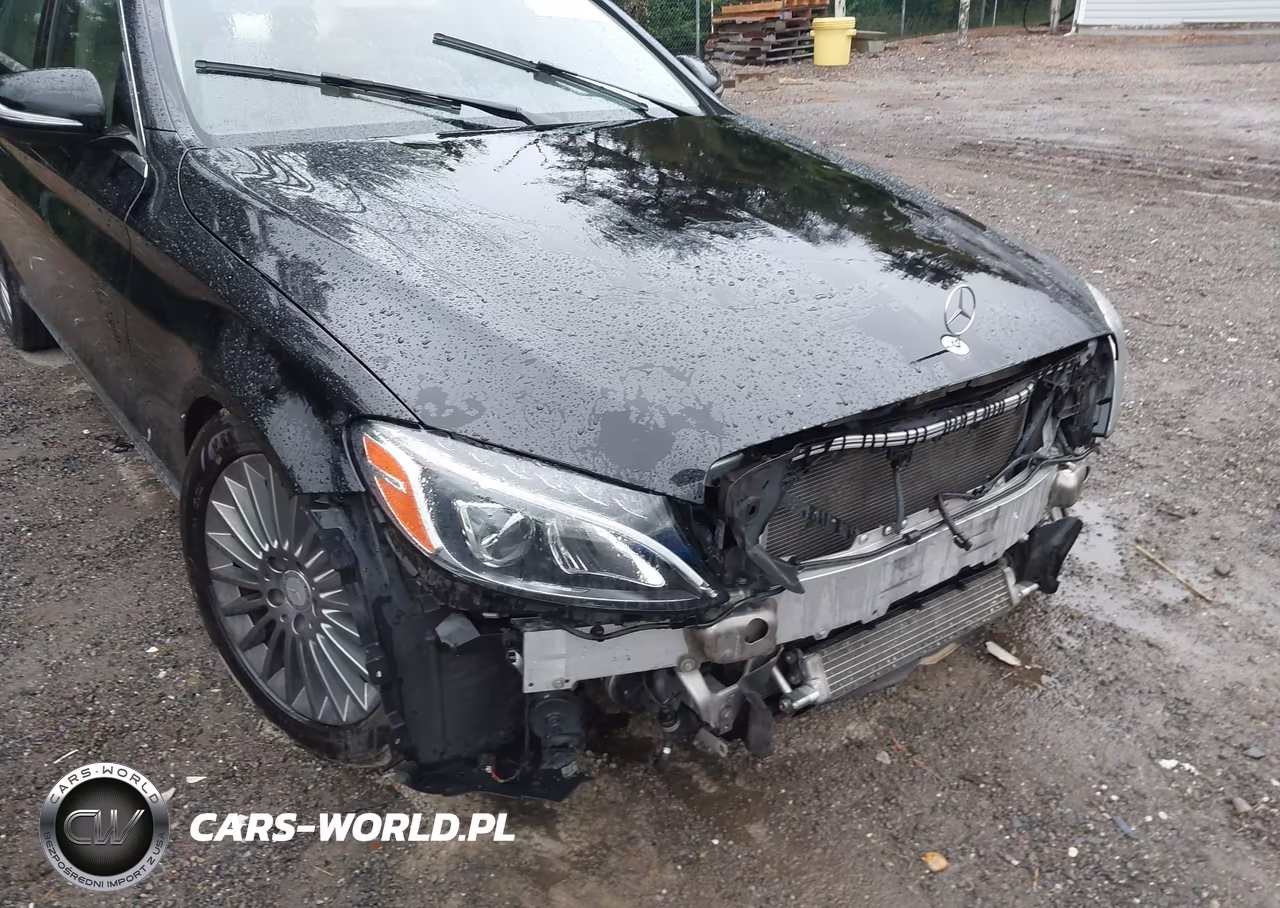 2015 Mercedes-Benz C-Class C 300 Luxury VIN:55SWF4KB8FU025378 - 18