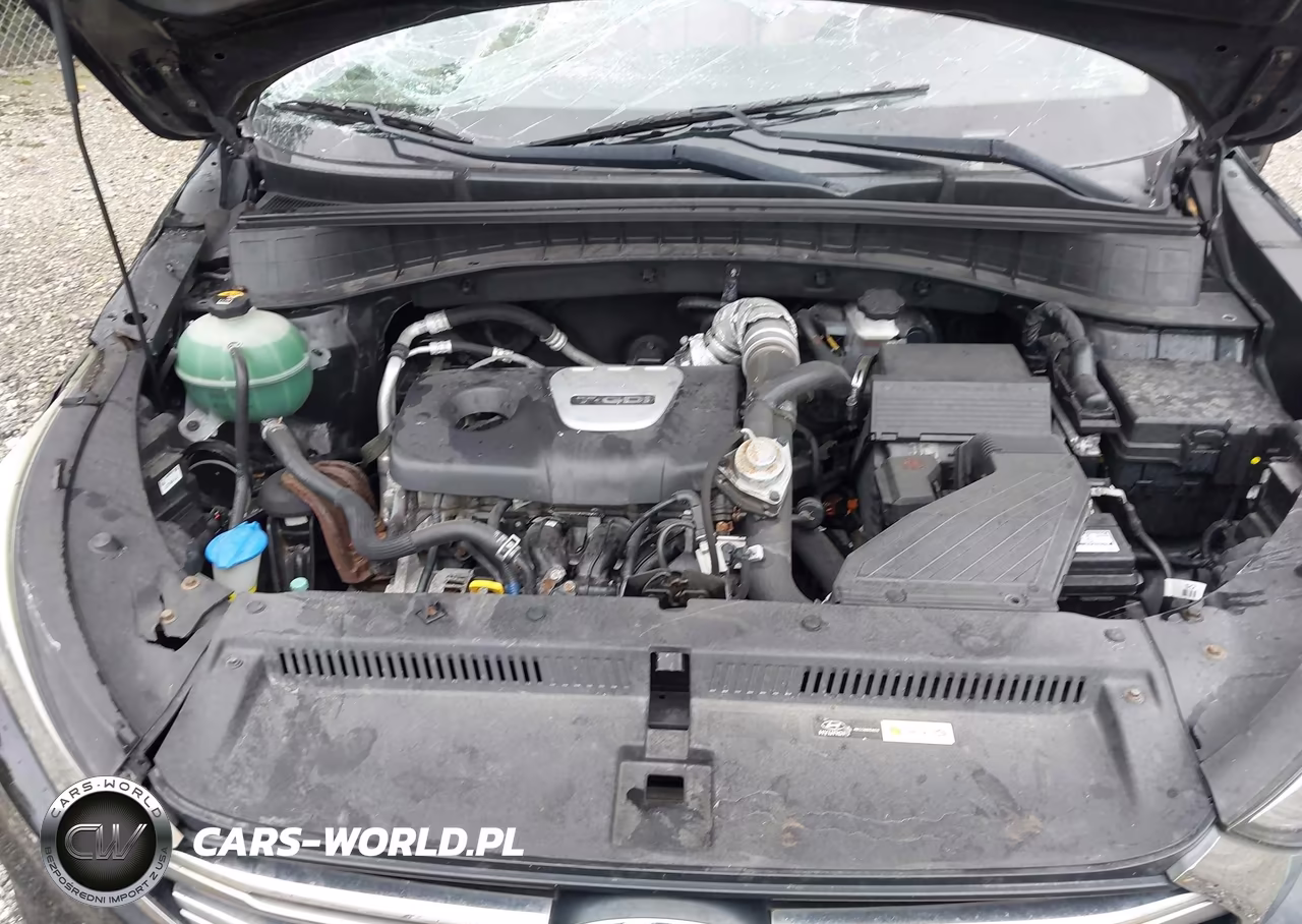 2017 Hyundai Tucson Limited VIN:KM8J3CA24HU293477 - 10