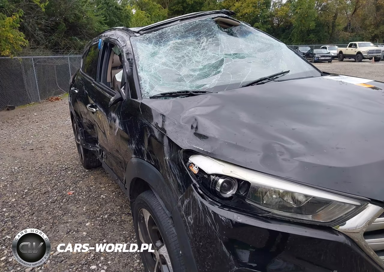 2017 Hyundai Tucson Limited VIN:KM8J3CA24HU293477 - 13
