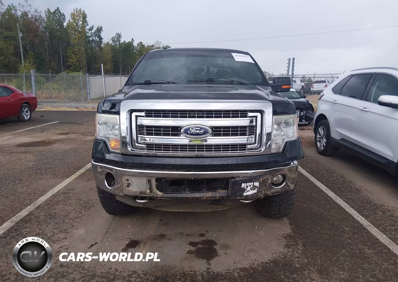 2014 Ford F-150 Xlt VIN:1FTFW1ETXEKE21320 - 12