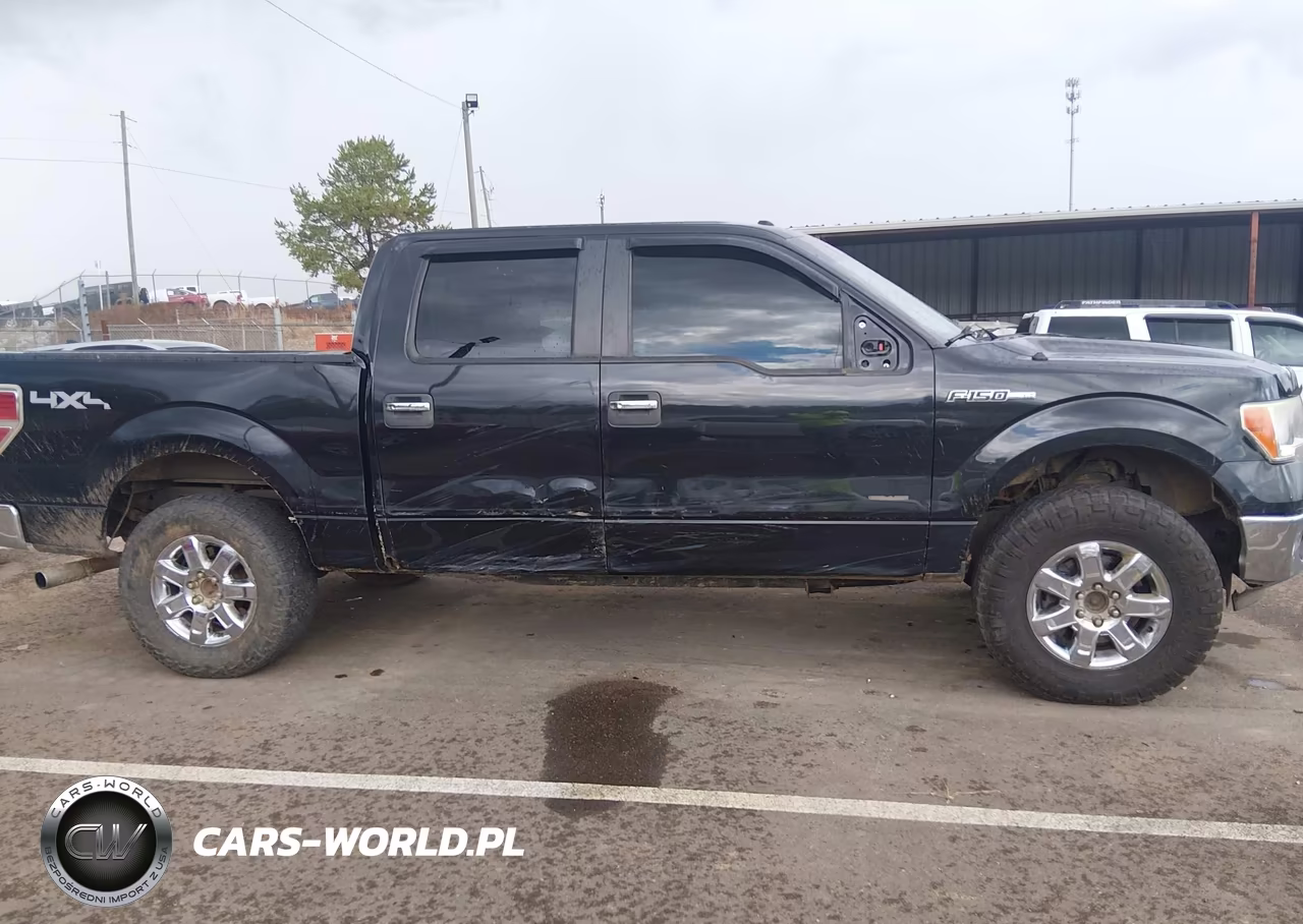 2014 Ford F-150 Xlt VIN:1FTFW1ETXEKE21320 - 13