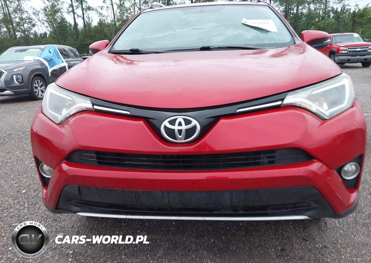 2016 Toyota Rav4 Xle VIN:2T3WFREV9GW272764 - 6