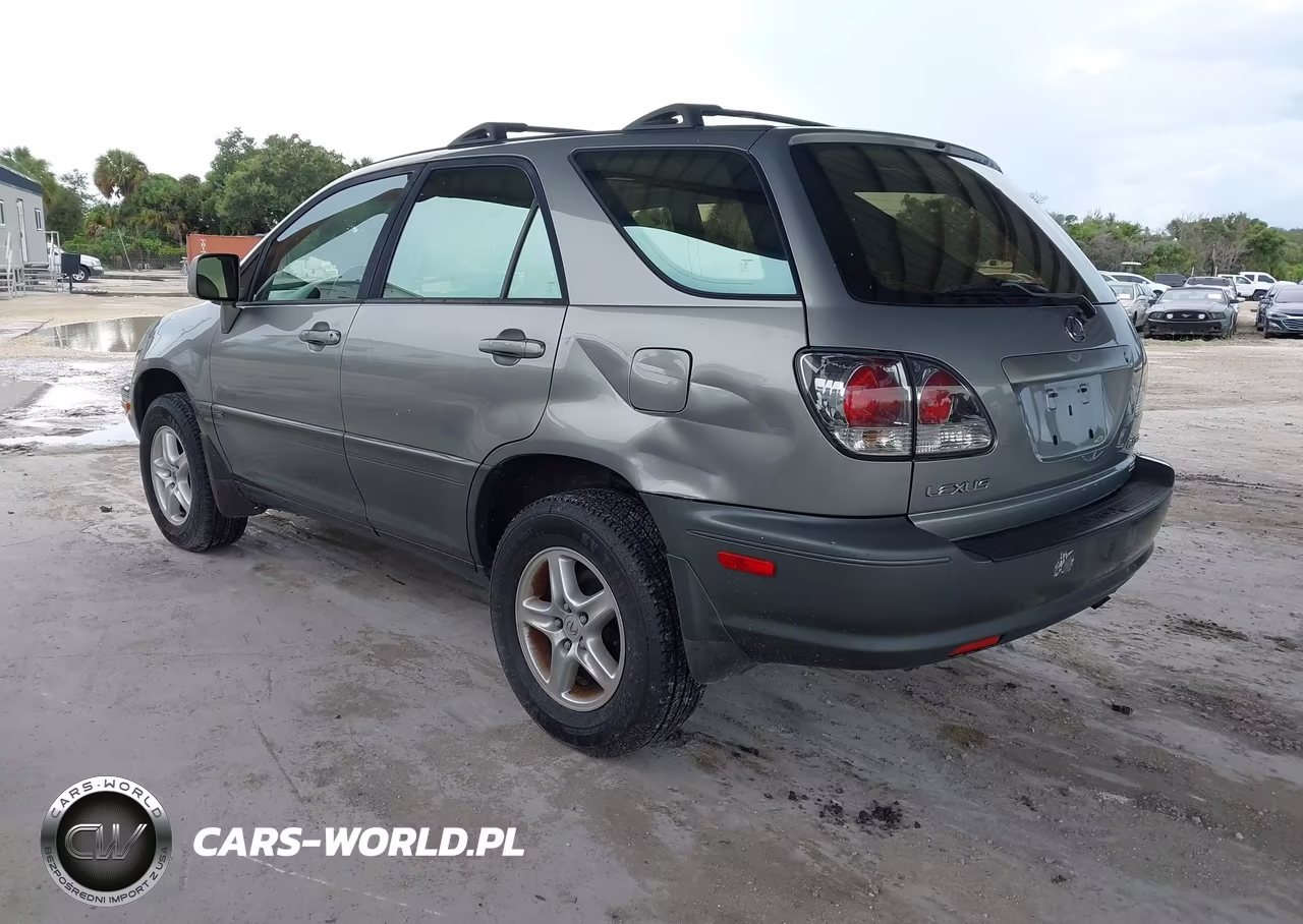 2001 Lexus Rx 300 VIN:JTJGF10U110116599 - 3