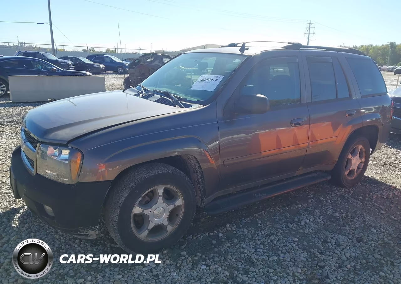 2008 Chevy Trail Blazer VIN:1GNDT13S482143875 - 2