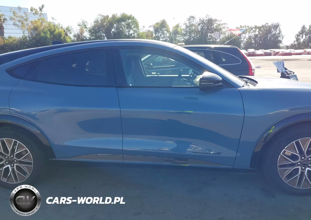 2024 Ford Mustang Mach-E Premium VIN:3FMTK3R76RMA46012 - 13