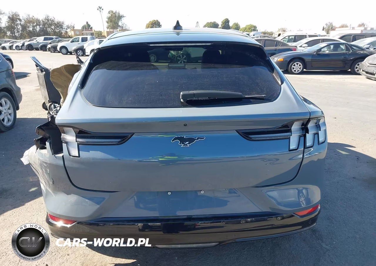 2024 Ford Mustang Mach-E Premium VIN:3FMTK3R76RMA46012 - 16