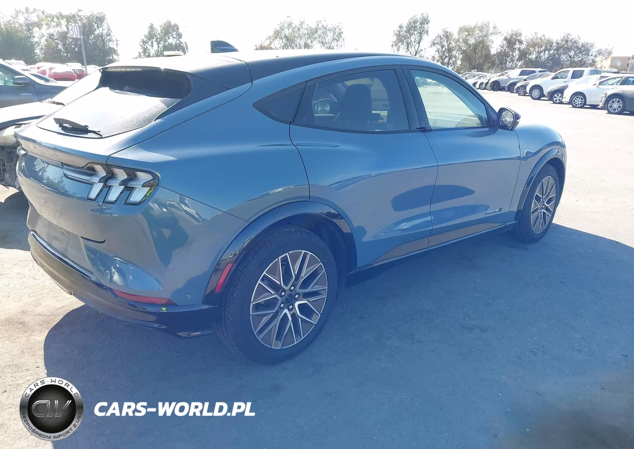 2024 Ford Mustang Mach-E Premium VIN:3FMTK3R76RMA46012 - 4