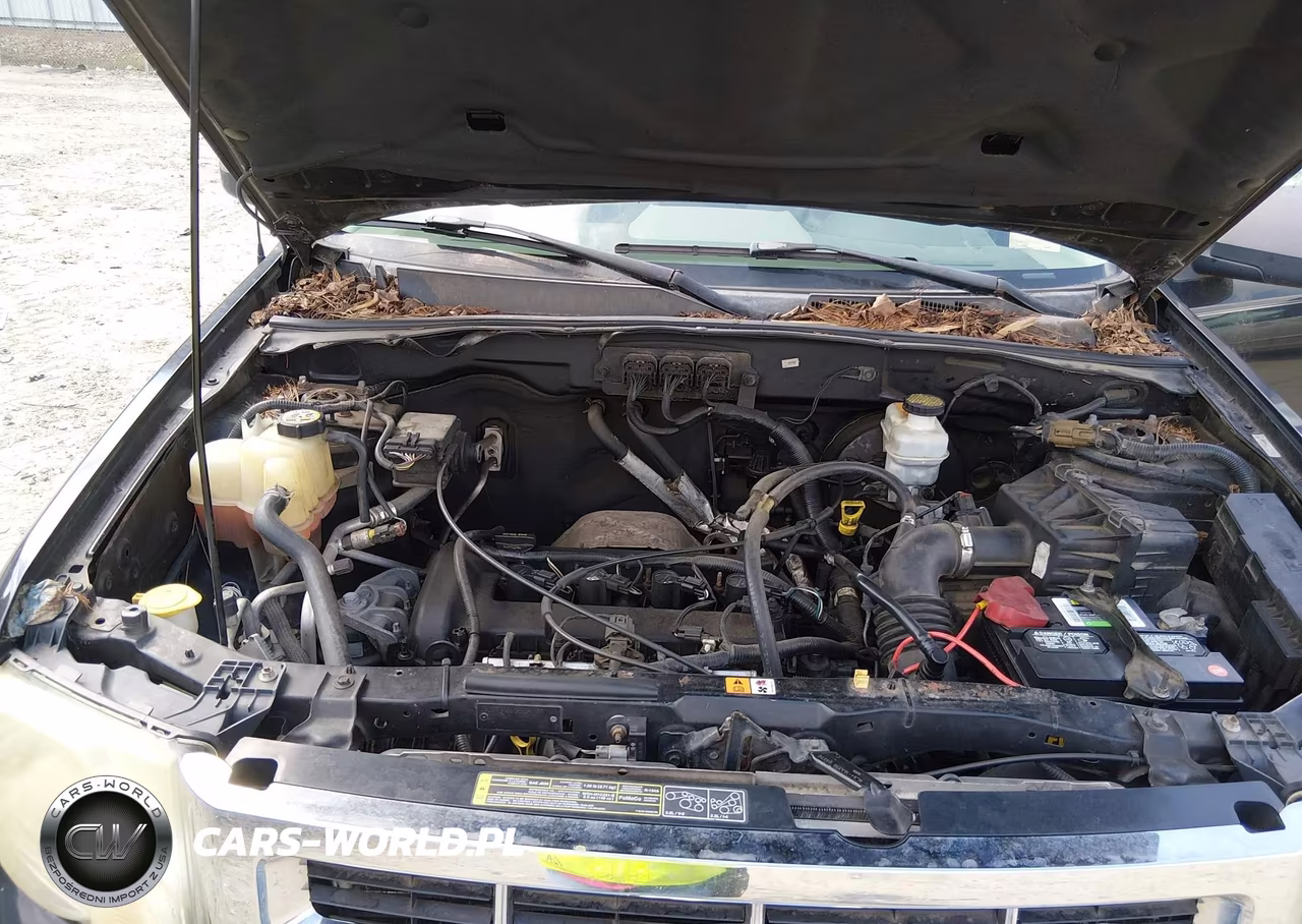 2008 Ford Escape Xlt VIN:1FMCU03Z38KE21637 - 10