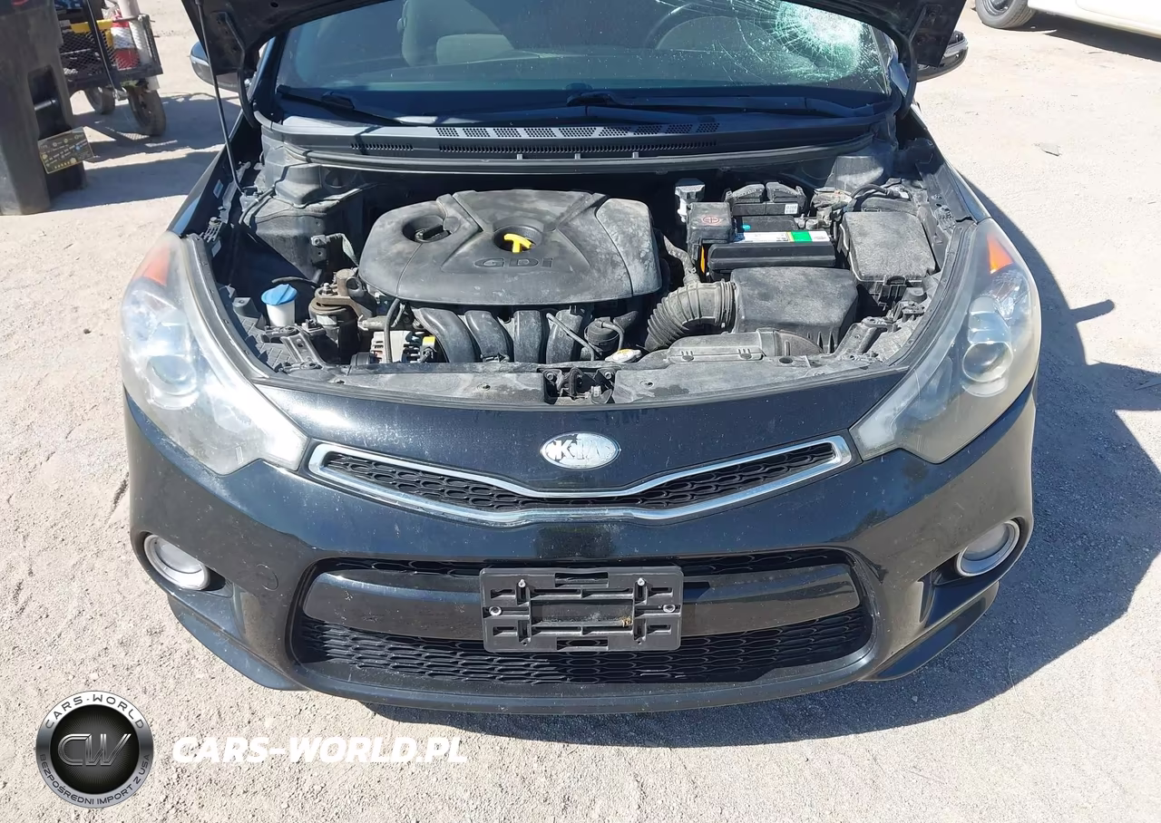 2014 Kia Forte Koup Ex VIN:KNAFX6A81E5237746 - 10