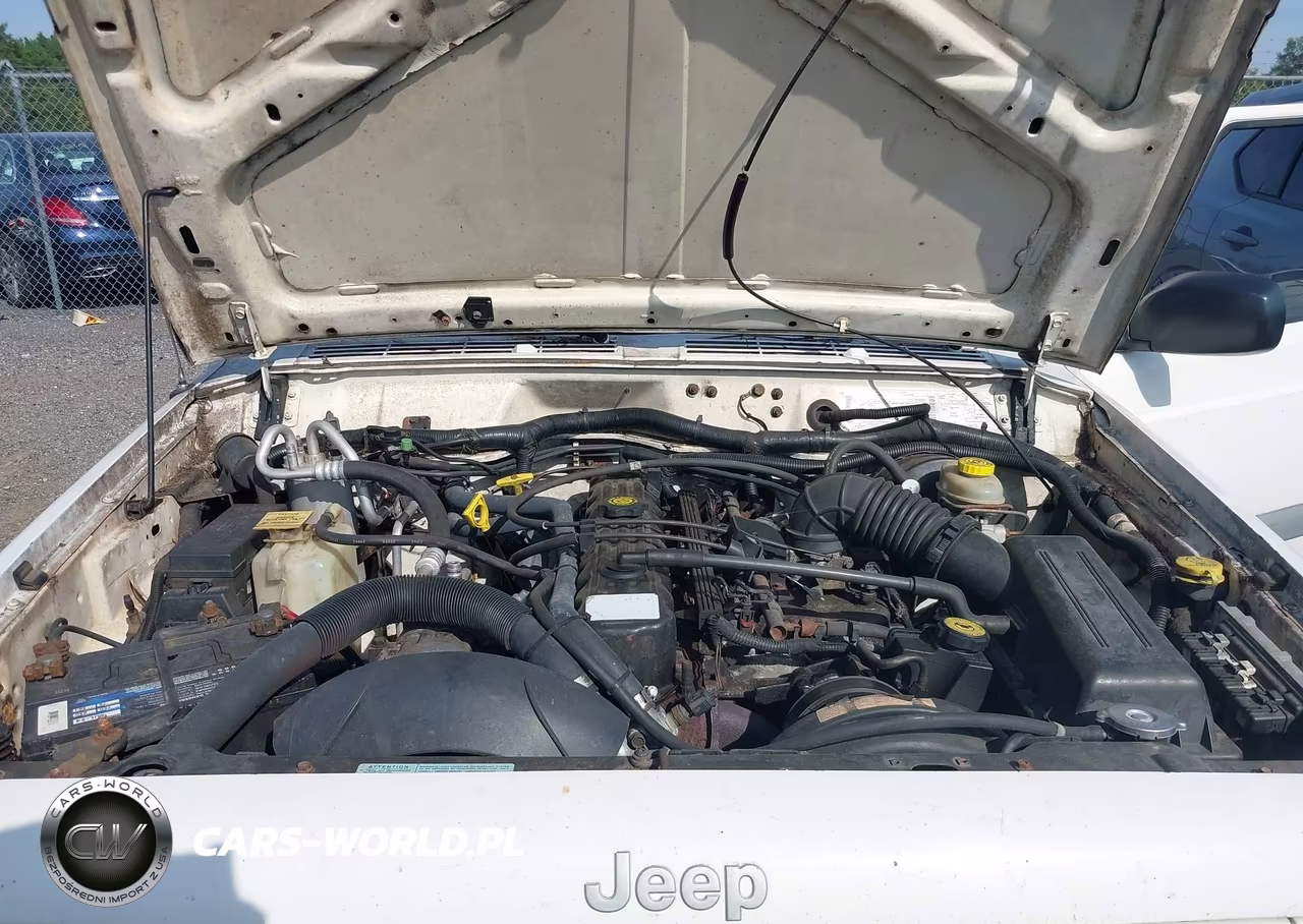 2000 Jeep Cherokee Sport VIN:1J4FF48S1YL230124 - 10
