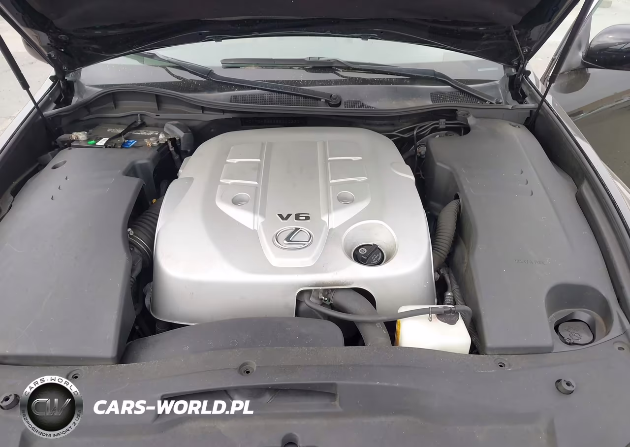 2006 Lexus Gs 300 VIN:JTHBH96S265040220 - 10