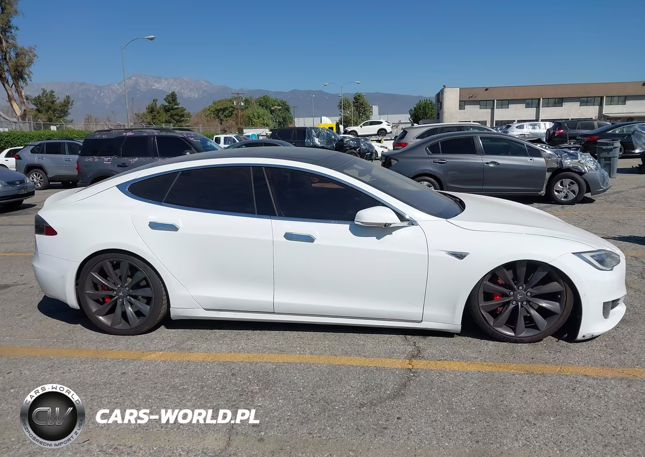 2016 Tesla Model S 90D-P100D-P85D-P90D VIN:5YJSA1E46GF144879 - 13