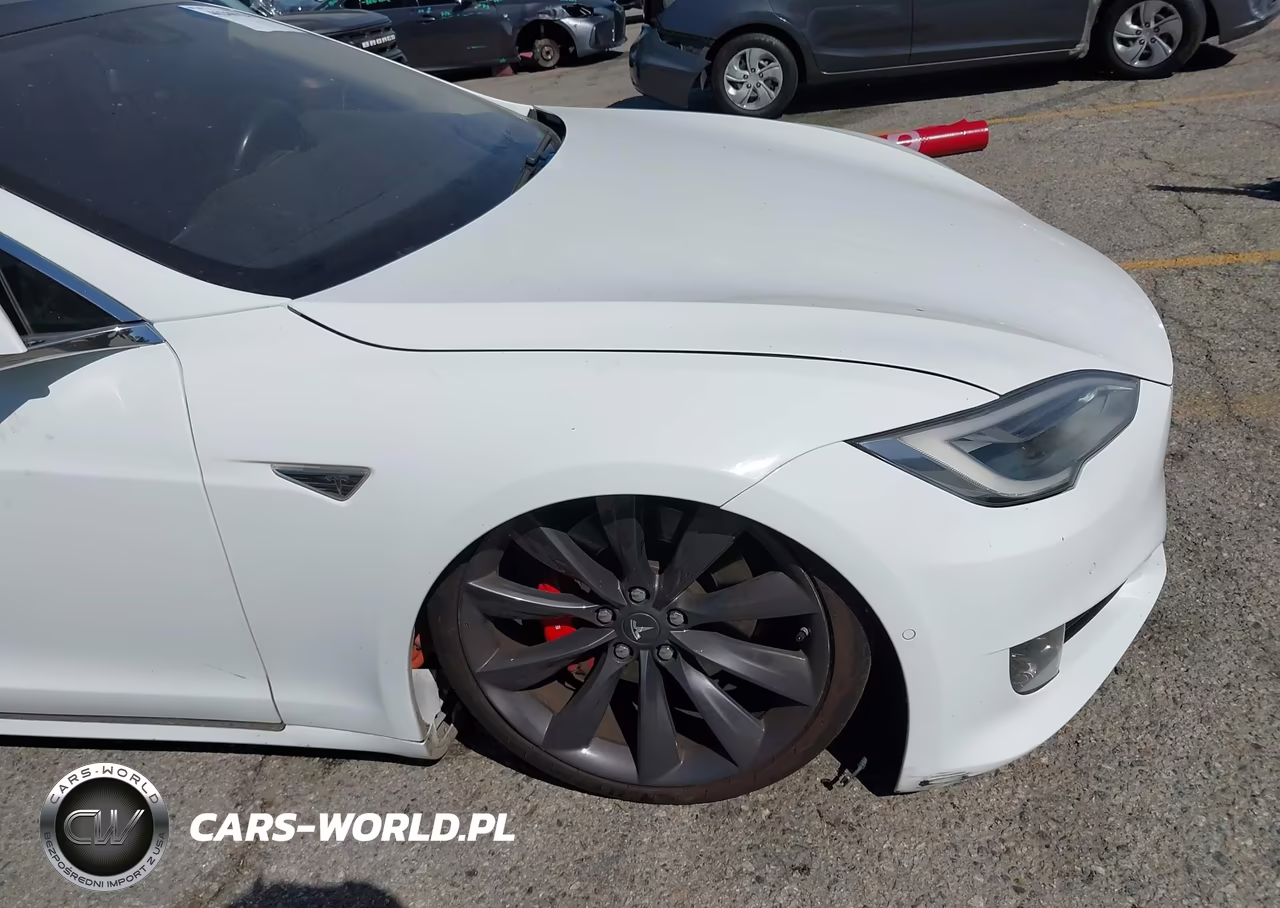 2016 Tesla Model S 90D-P100D-P85D-P90D VIN:5YJSA1E46GF144879 - 19