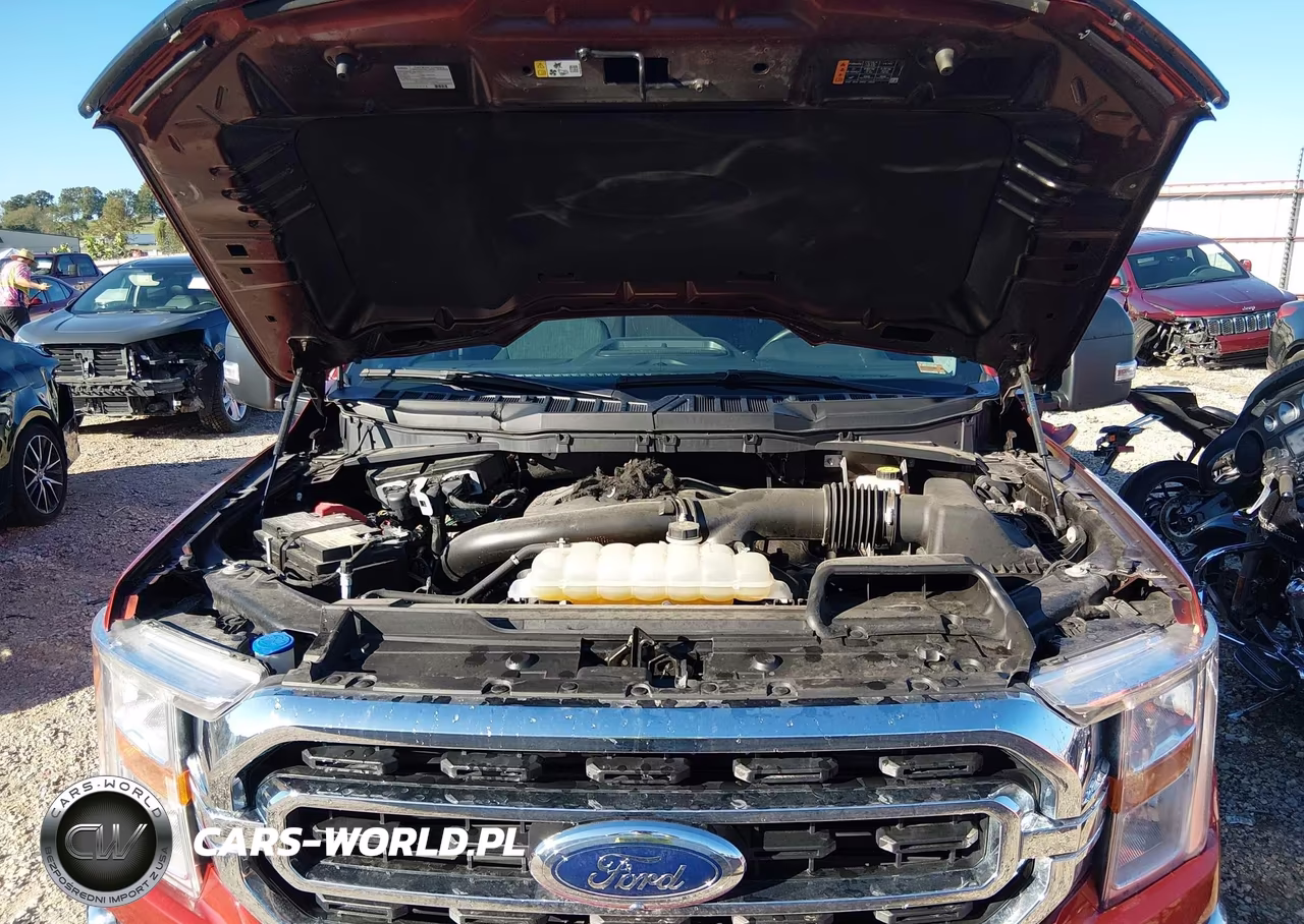 2023 Ford F-150 Xlt VIN:1FTFW1E81PKG09965 - 10