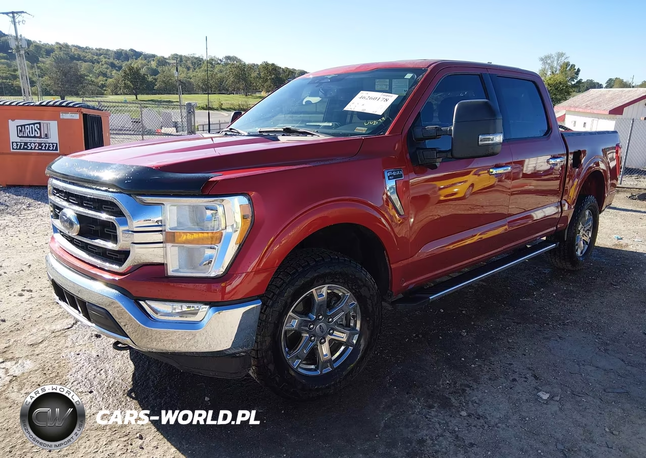 2023 Ford F-150 Xlt VIN:1FTFW1E81PKG09965 - 2