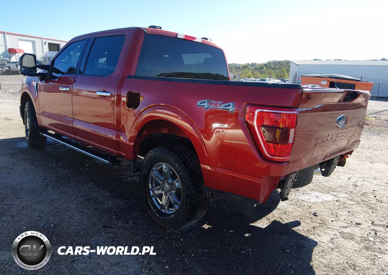 2023 Ford F-150 Xlt VIN:1FTFW1E81PKG09965 - 3