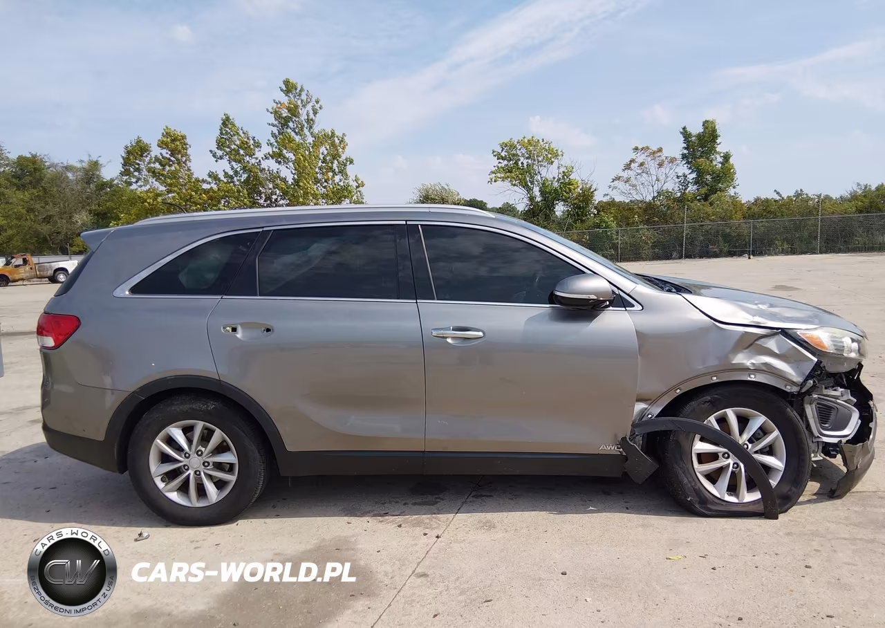 2017 Kia Sorento 2.4L Lx VIN:5XYPGDA37HG324529 - 13
