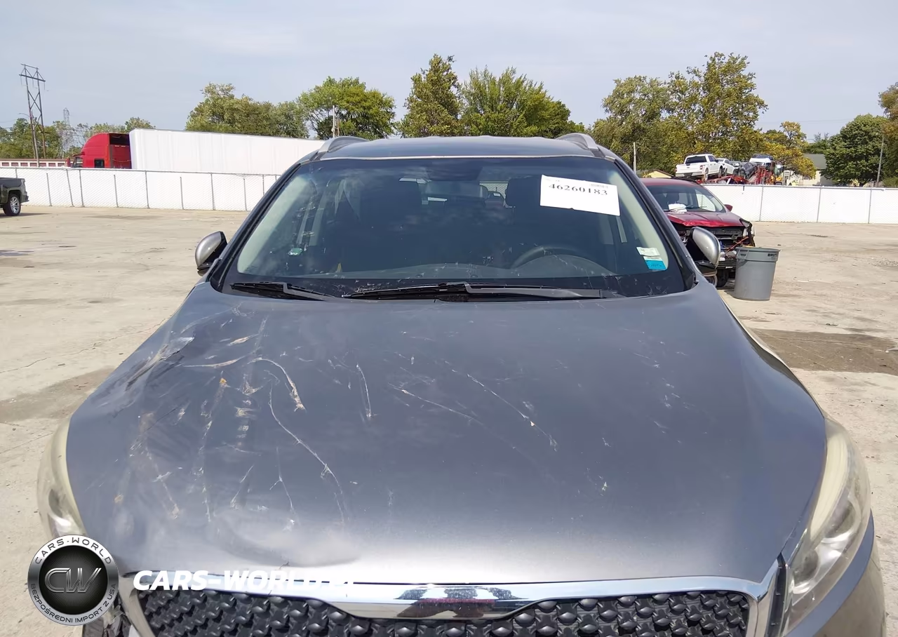 2017 Kia Sorento 2.4L Lx VIN:5XYPGDA37HG324529 - 17