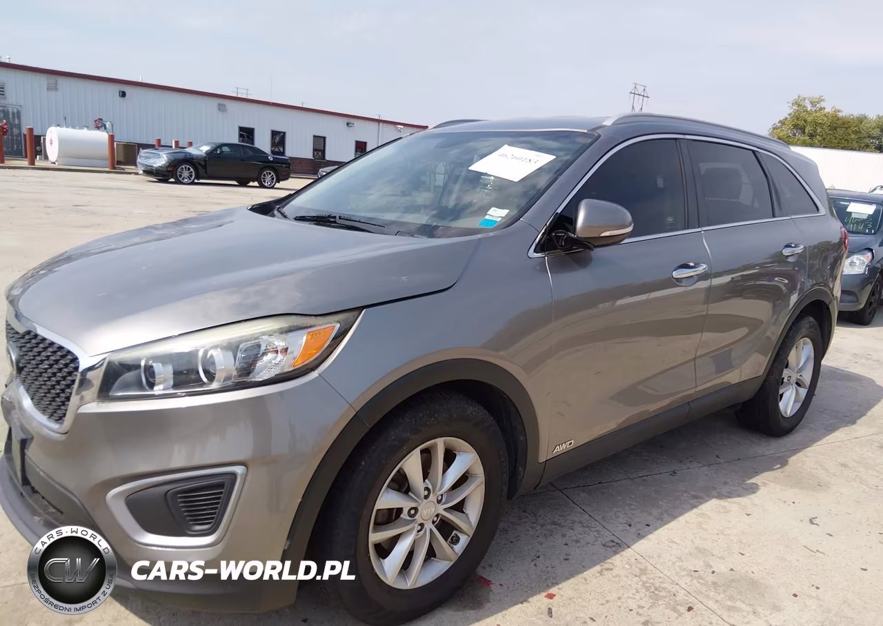 2017 Kia Sorento 2.4L Lx VIN:5XYPGDA37HG324529 - 18