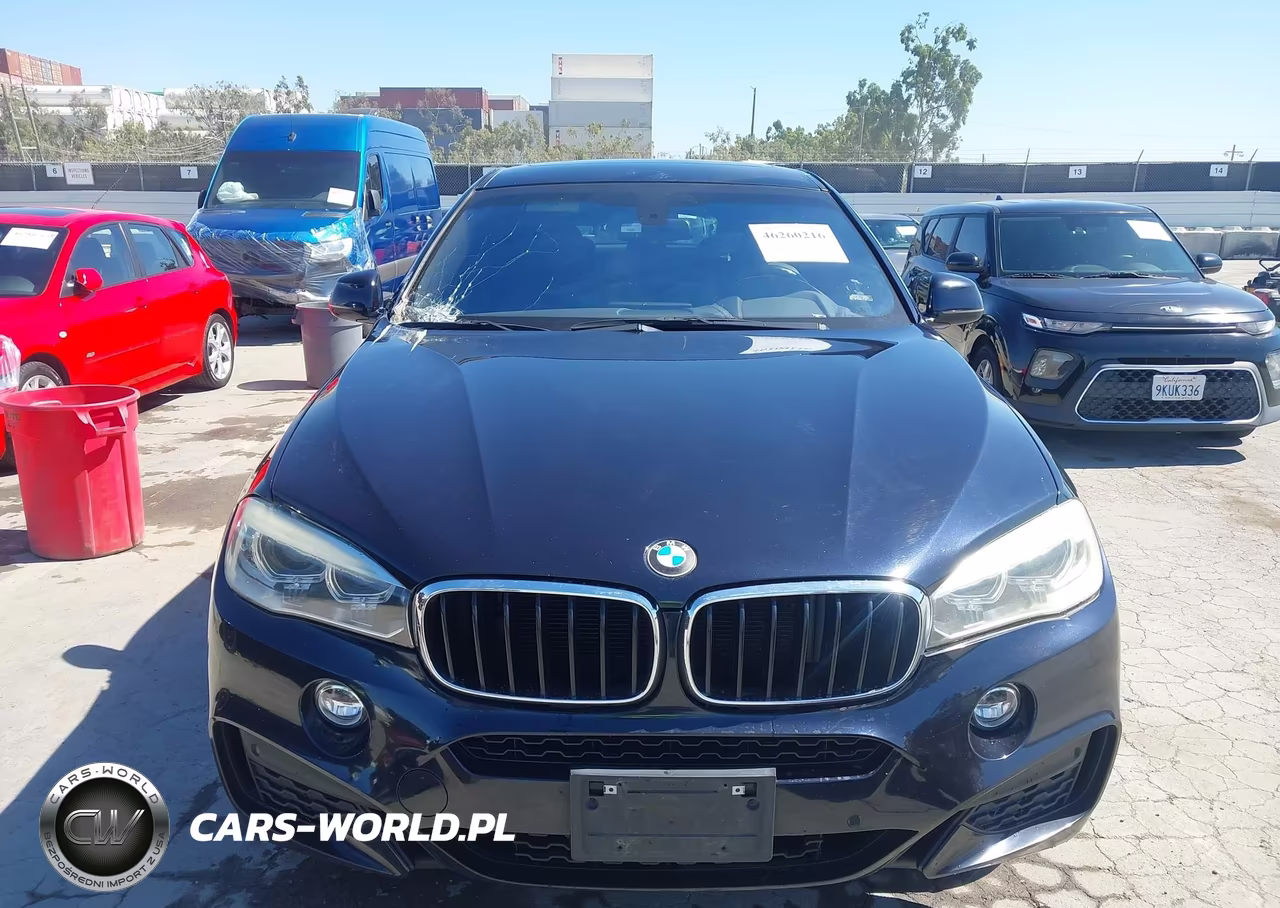 2016 BMW X6 Sdrive35I VIN:5UXKU0C54G0F93572 - 12