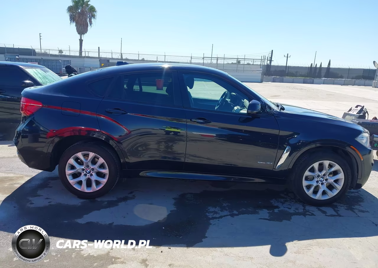 2016 BMW X6 Sdrive35I VIN:5UXKU0C54G0F93572 - 13