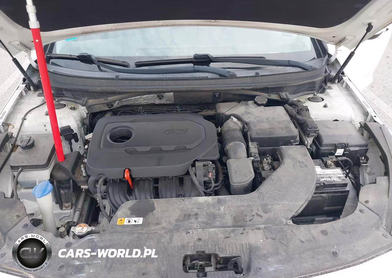 2015 Hyundai Sonata Se VIN:5NPE24AF3FH187403 - 10