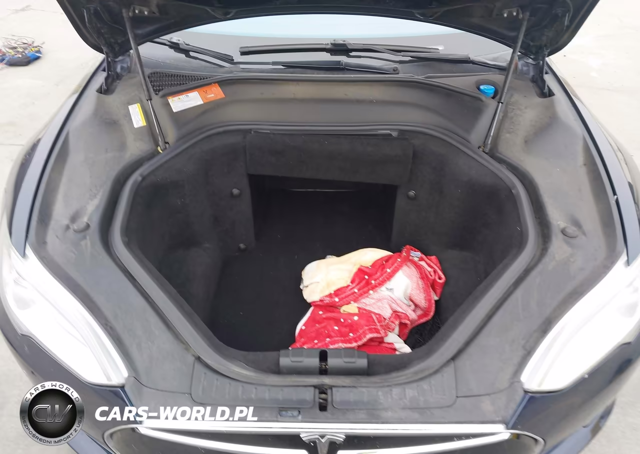 2015 Tesla Model S 60-70-85 VIN:5YJSA1S19FFP77028 - 10