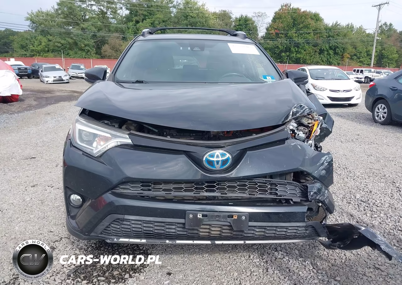 2017 Toyota Rav4 Hybrid Se VIN:JTMJJREV1HD123210 - 12