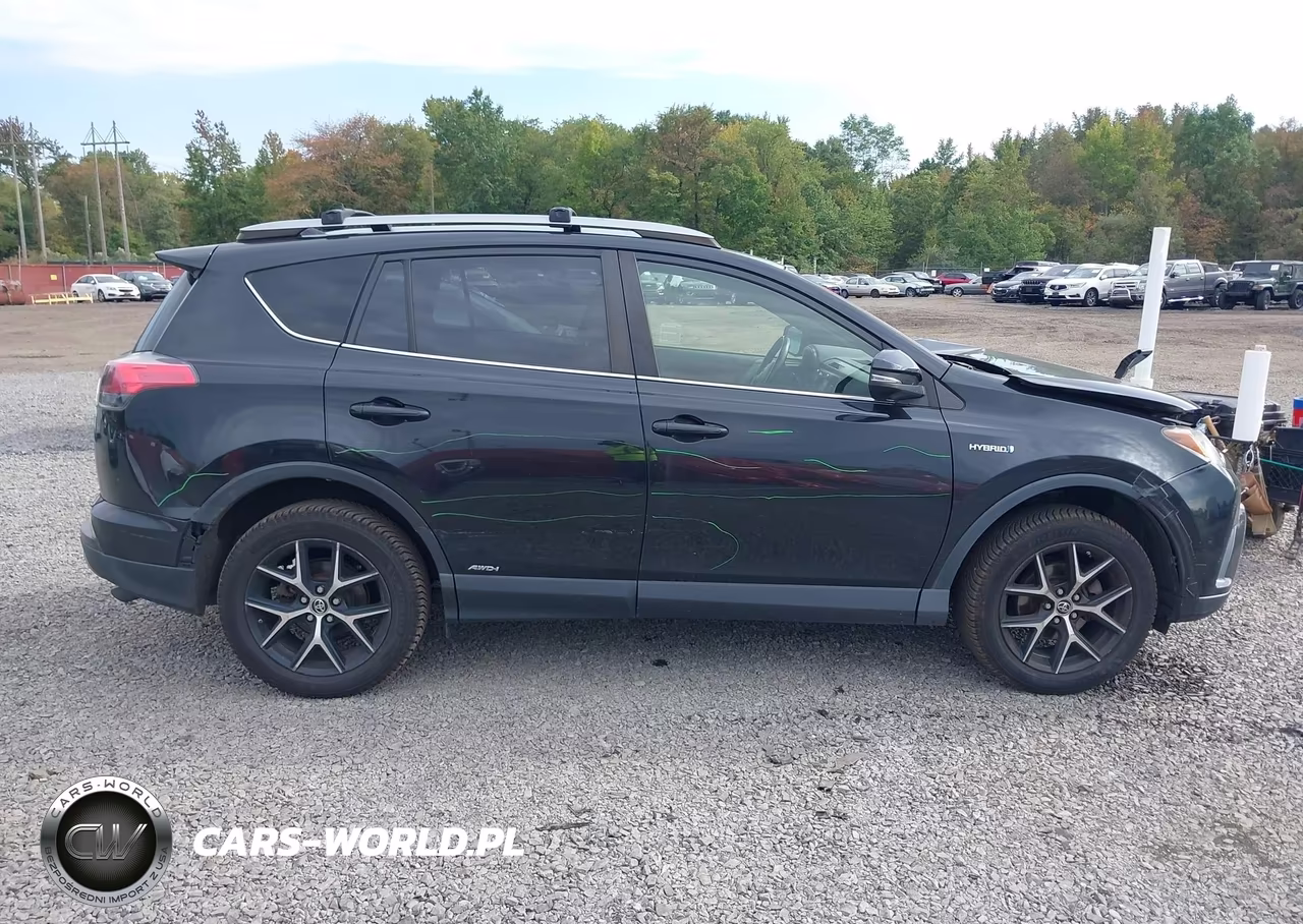 2017 Toyota Rav4 Hybrid Se VIN:JTMJJREV1HD123210 - 13