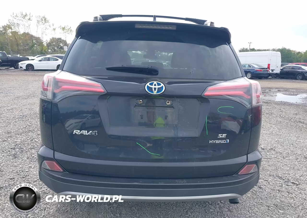 2017 Toyota Rav4 Hybrid Se VIN:JTMJJREV1HD123210 - 16
