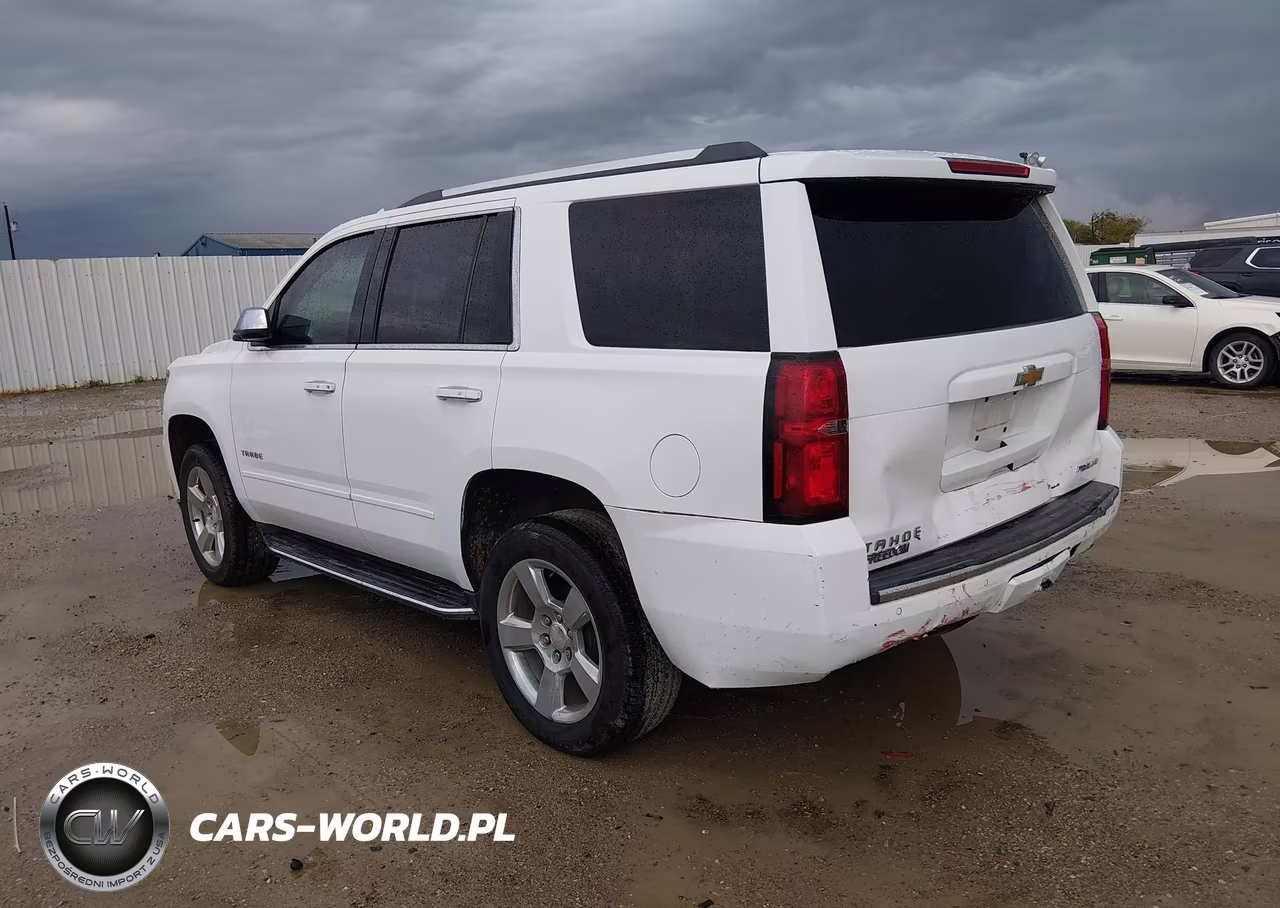 2019 Chevrolet Tahoe Premier VIN:1GNSCCKC4KR104439 - 3