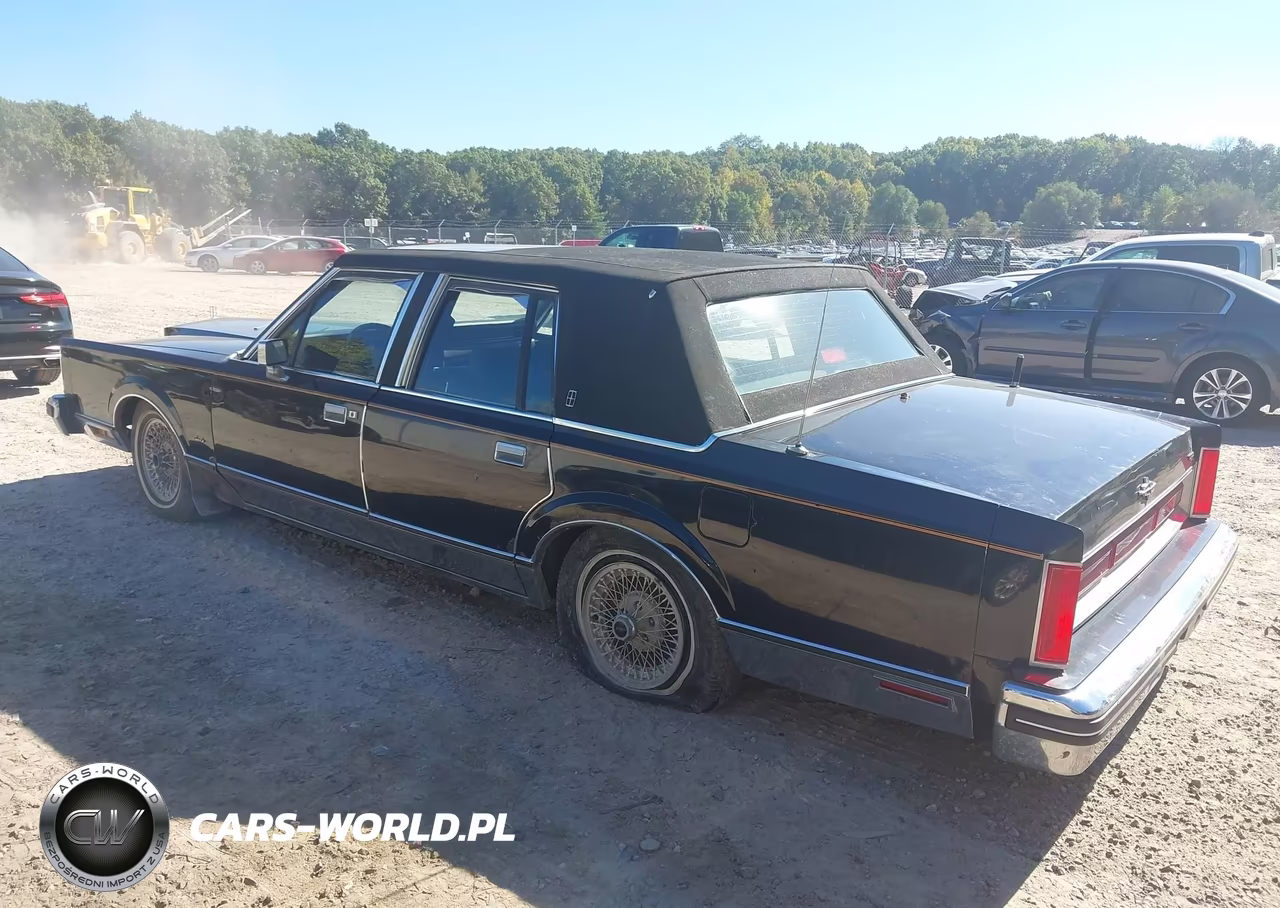 1984 Lincoln Town Car VIN:1LNBP96F0EY645157 - 3