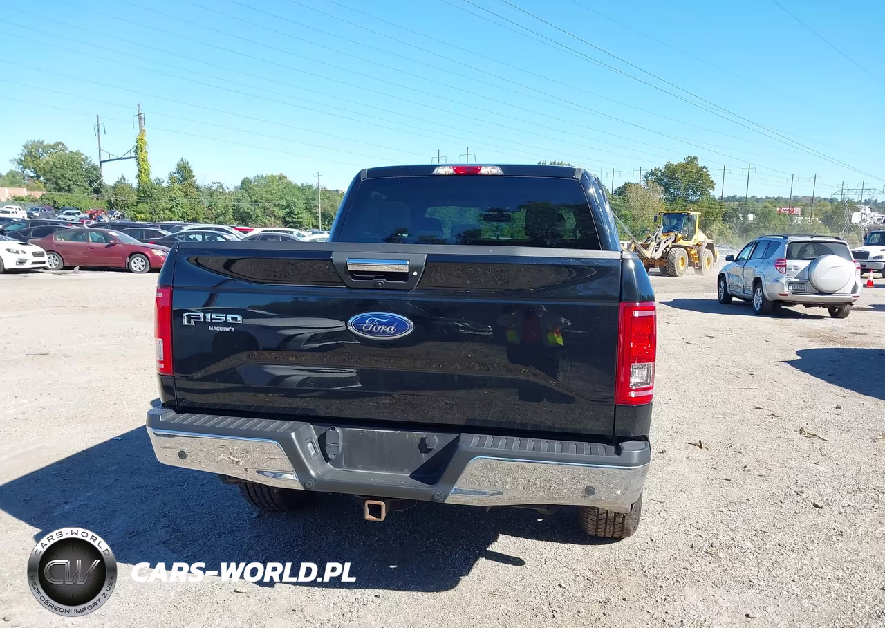 2017 Ford F-150 Xlt VIN:1FTEW1EP1HFB72627 - 16