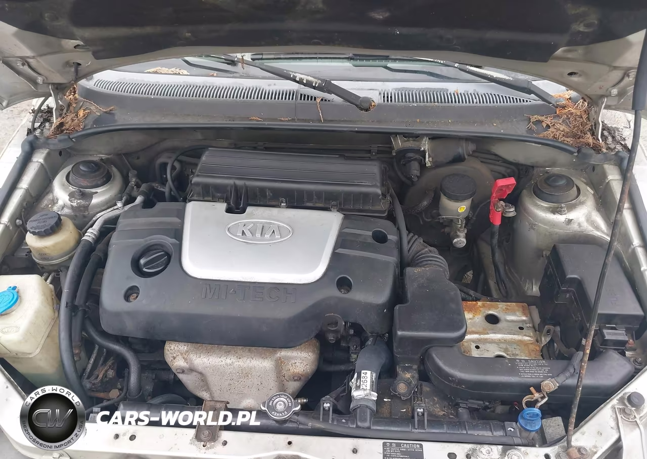 2001 Kia Rio VIN:KNADC123316035634 - 10
