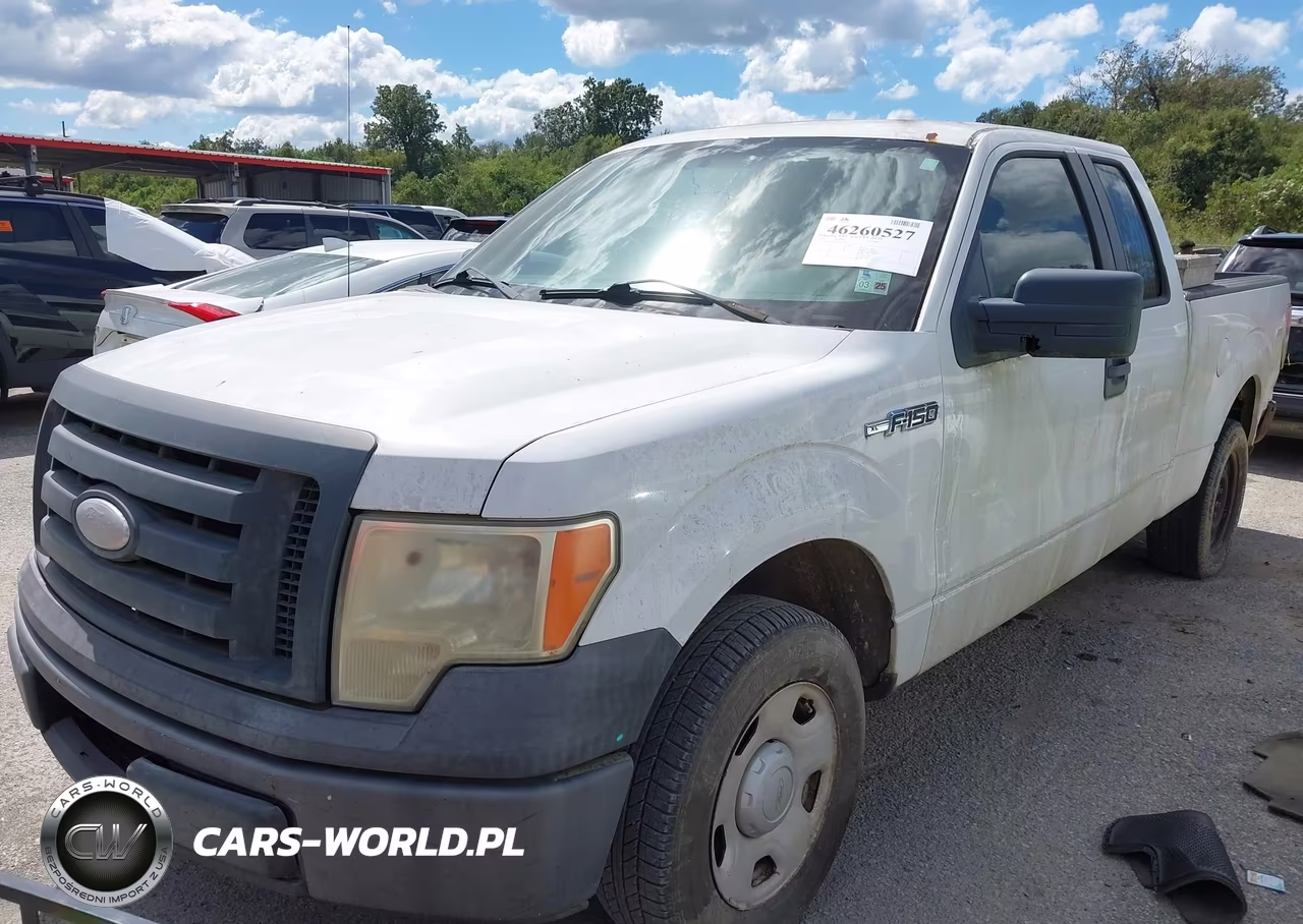 2009 Ford F-150 Stx-Xl VIN:1FTRX12W29FA07343 - 2