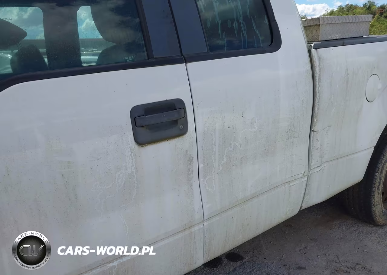 2009 Ford F-150 Stx-Xl VIN:1FTRX12W29FA07343 - 6