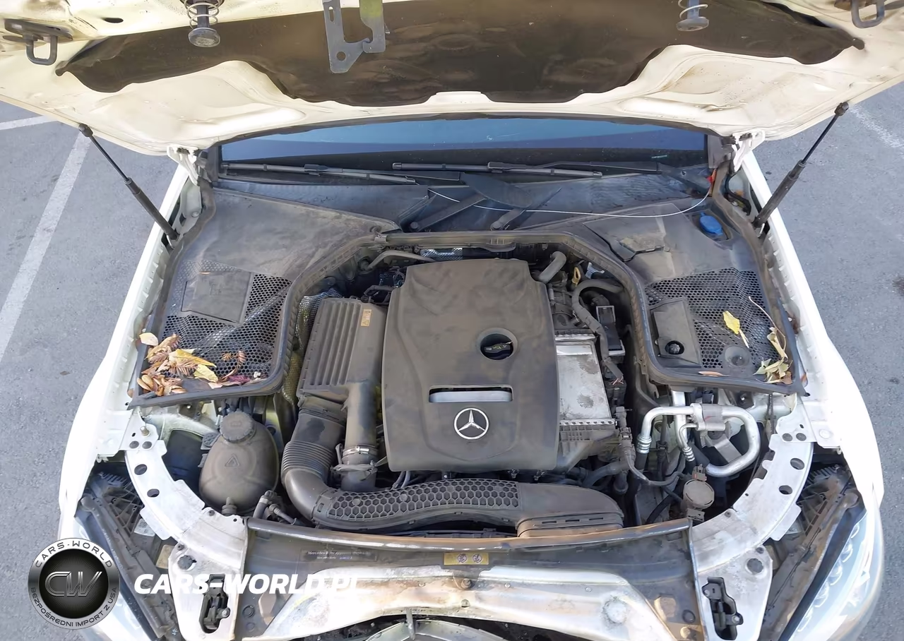 2018 Mercedes-Benz C 300 VIN:55SWF4JB0JU281959 - 10