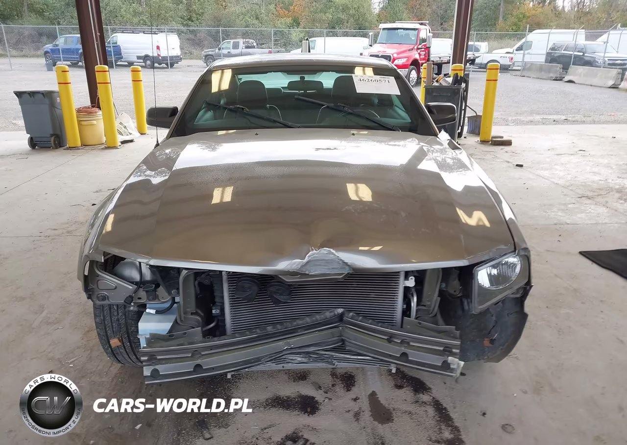 2005 Ford Mustang V6 Deluxe-V6 Premium VIN:1ZVFT80NX55164116 - 13
