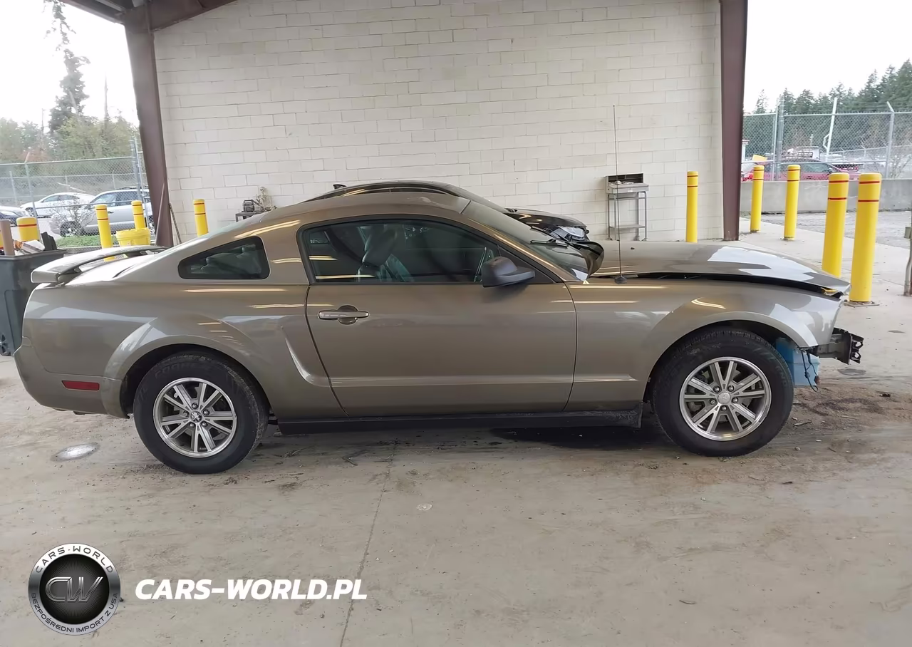 2005 Ford Mustang V6 Deluxe-V6 Premium VIN:1ZVFT80NX55164116 - 14