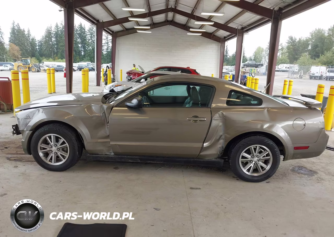 2005 Ford Mustang V6 Deluxe-V6 Premium VIN:1ZVFT80NX55164116 - 15