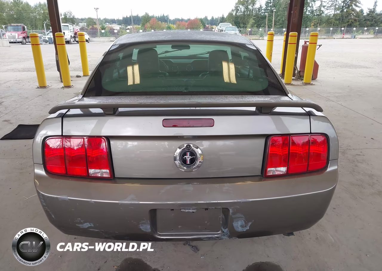 2005 Ford Mustang V6 Deluxe-V6 Premium VIN:1ZVFT80NX55164116 - 17
